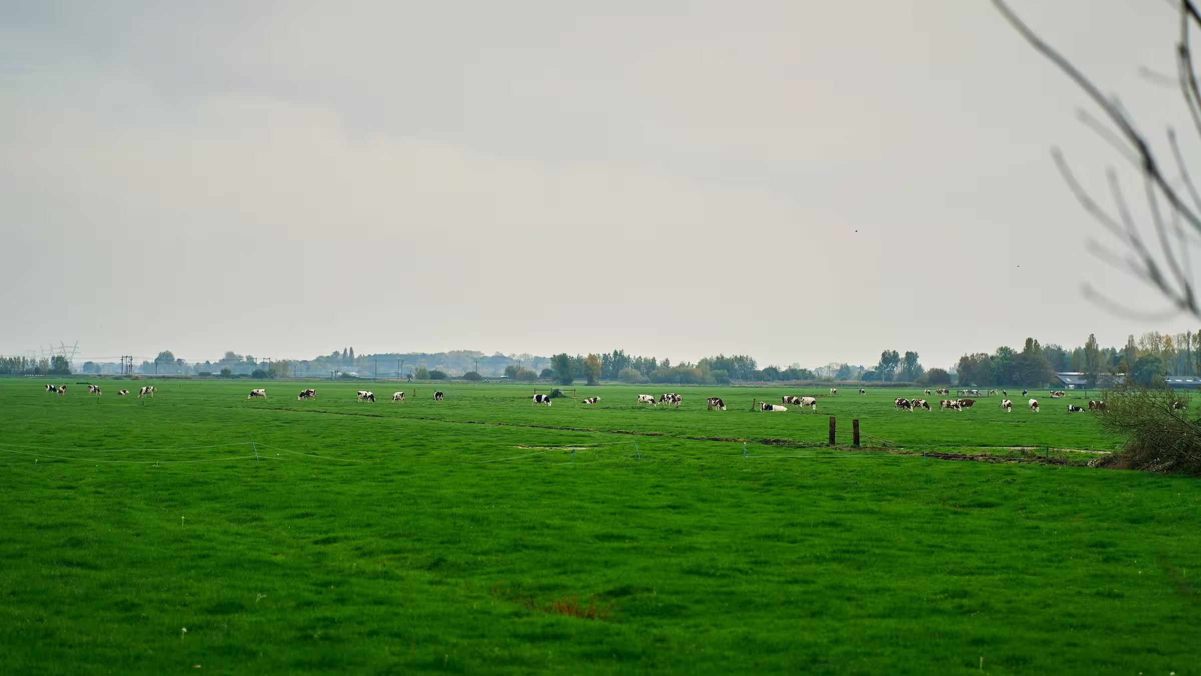 高标准农田建设方案